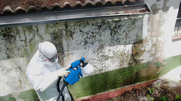 Top rated local Commercial Mold Remediation specialists in Remington, VA